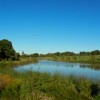 Sydney Park Wetlands